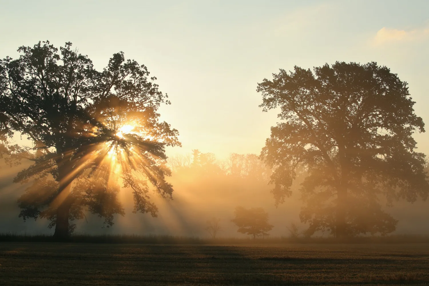 Montgomery County, Texas